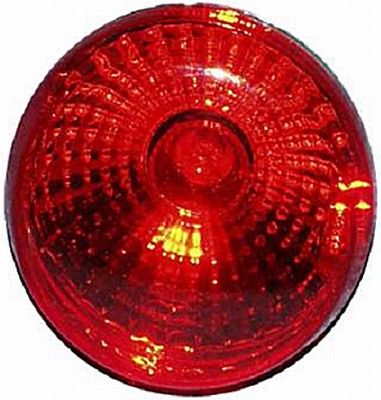 Tail Light Assembly -