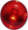 Tail Light Assembly -