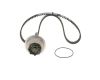 Water Pump & Timing Belt Kit -
