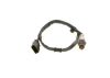 Oxygen Sensor -