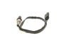 Oxygen Sensor -