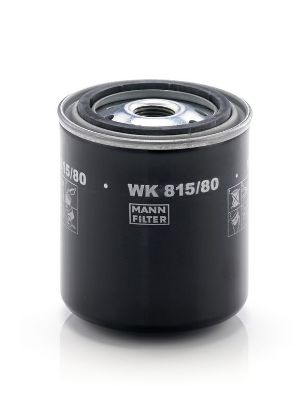 Fuel Filter CUMMINS - 6003117460