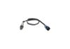Oxygen Sensor -