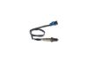 Oxygen Sensor -