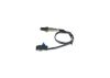 Oxygen Sensor -