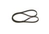 Timing Belt -