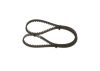 Timing Belt -
