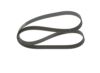 V-Ribbed Belt -