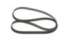 V-Ribbed Belt -