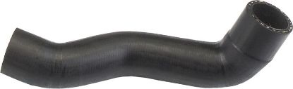 Radiator Hose -