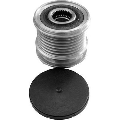 Alternator Freewheel Clutch -