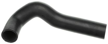 Radiator Hose -