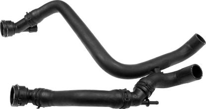 Radiator Hose -