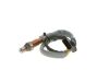 Oxygen Sensor -
