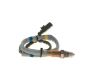 Oxygen Sensor -