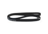 V-Ribbed Belt -