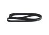 V-Ribbed Belt -