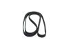 V-Ribbed Belt -