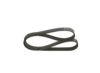 V-Ribbed Belt -