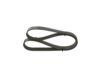 V-Ribbed Belt -