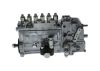 lnjection Pump -