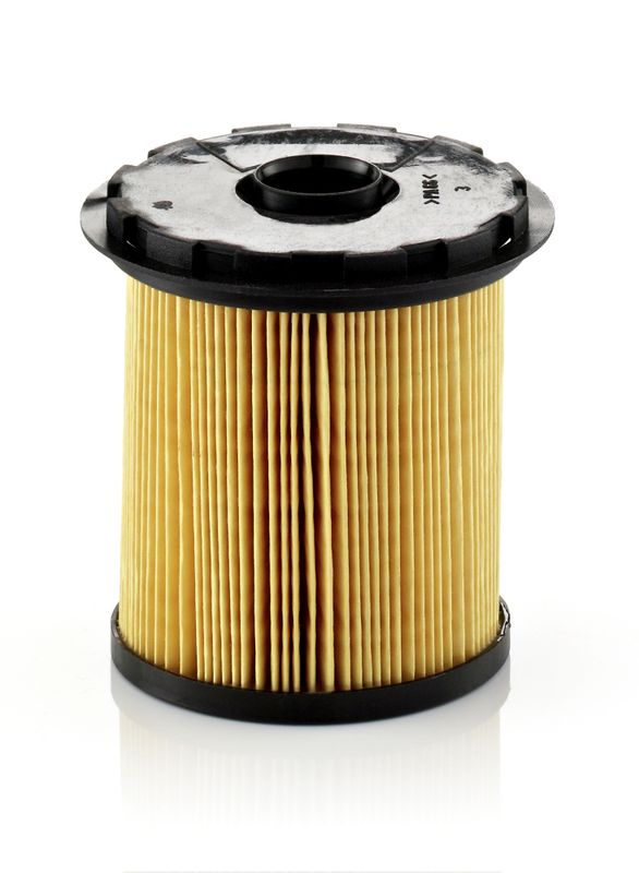Fuel Filter Renault  Clio II