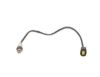 Oxygen Sensor -