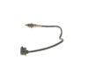Oxygen Sensor -