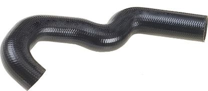 Radiator Hose -