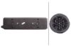 Tail Light Assembly -