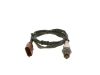 Oxygen Sensor -