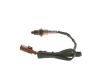 Oxygen Sensor -