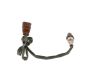 Oxygen Sensor -