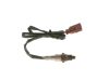 Oxygen Sensor -