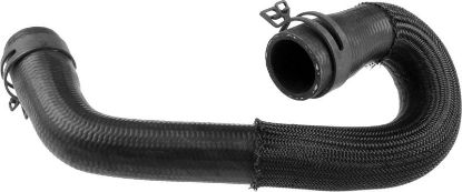 Radiator Hose -