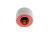 Air Filter GENERAL MOTORS - 39030321