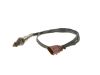 Oxygen Sensor -