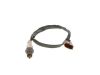 Oxygen Sensor -