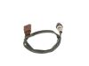 Oxygen Sensor -
