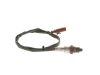 Oxygen Sensor -