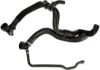 Radiator Hose -