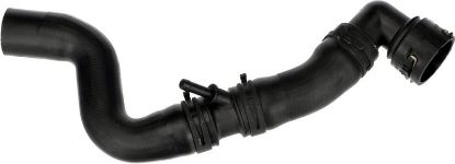Radiator Hose -