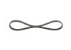 V-Ribbed Belt -