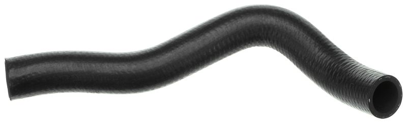 Radiator Hose -