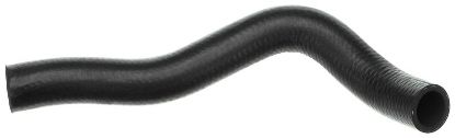 Radiator Hose -