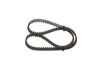 Timing Belt -