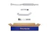 Centre Muffler -