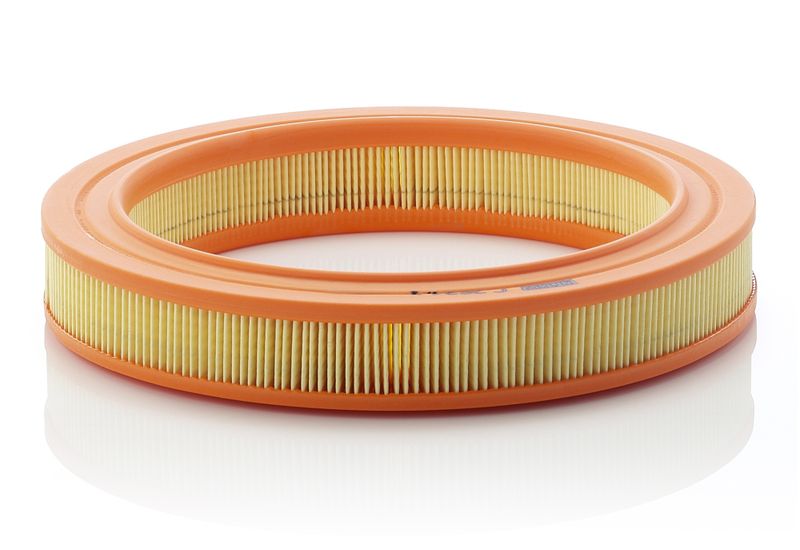 Air Filter Rover 111C/CL 114 Gta16v