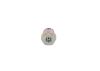 Oil Pressure Switch -