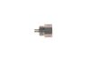 Oil Pressure Switch -